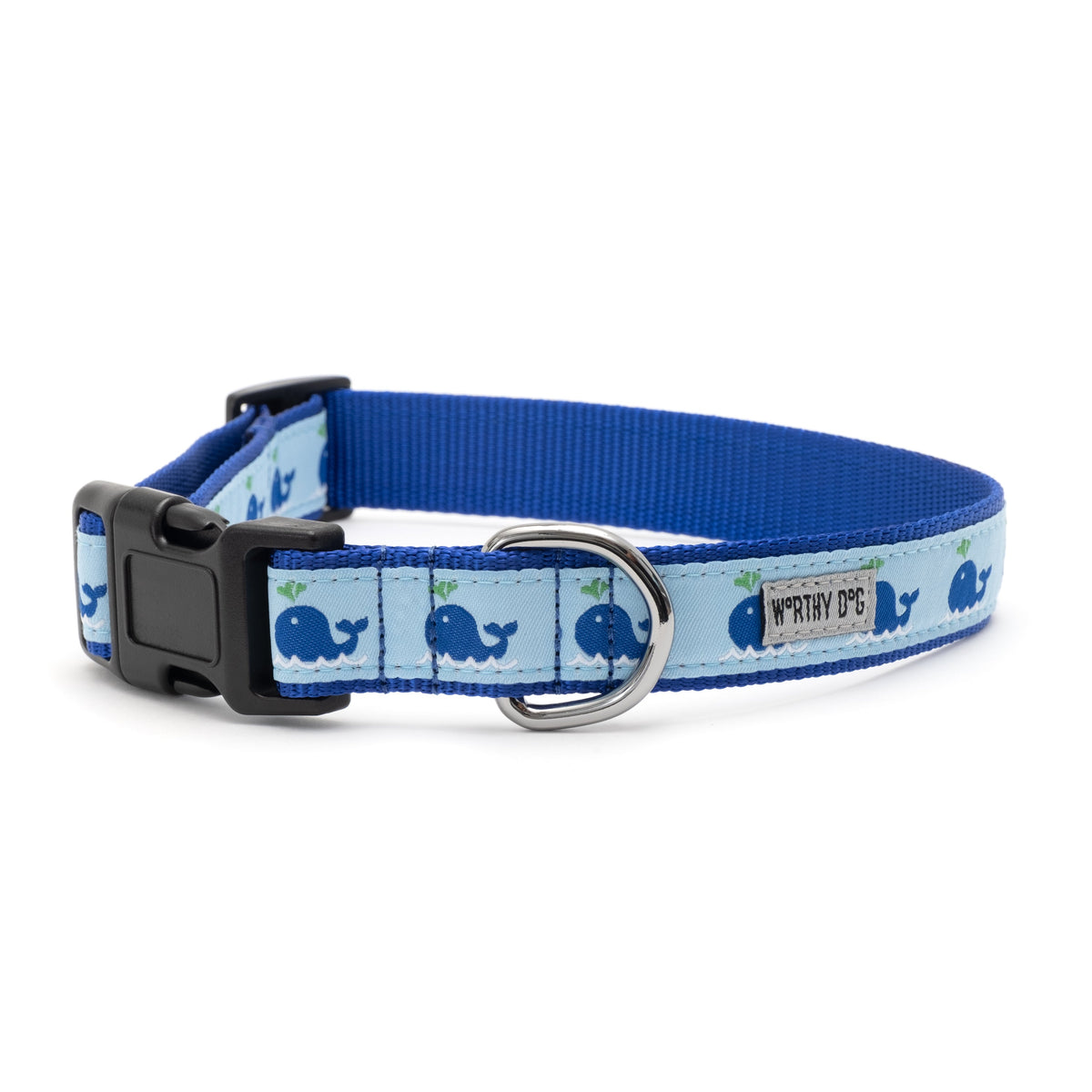 Squirt Dog Collar – Blue, Sizes XS–XL