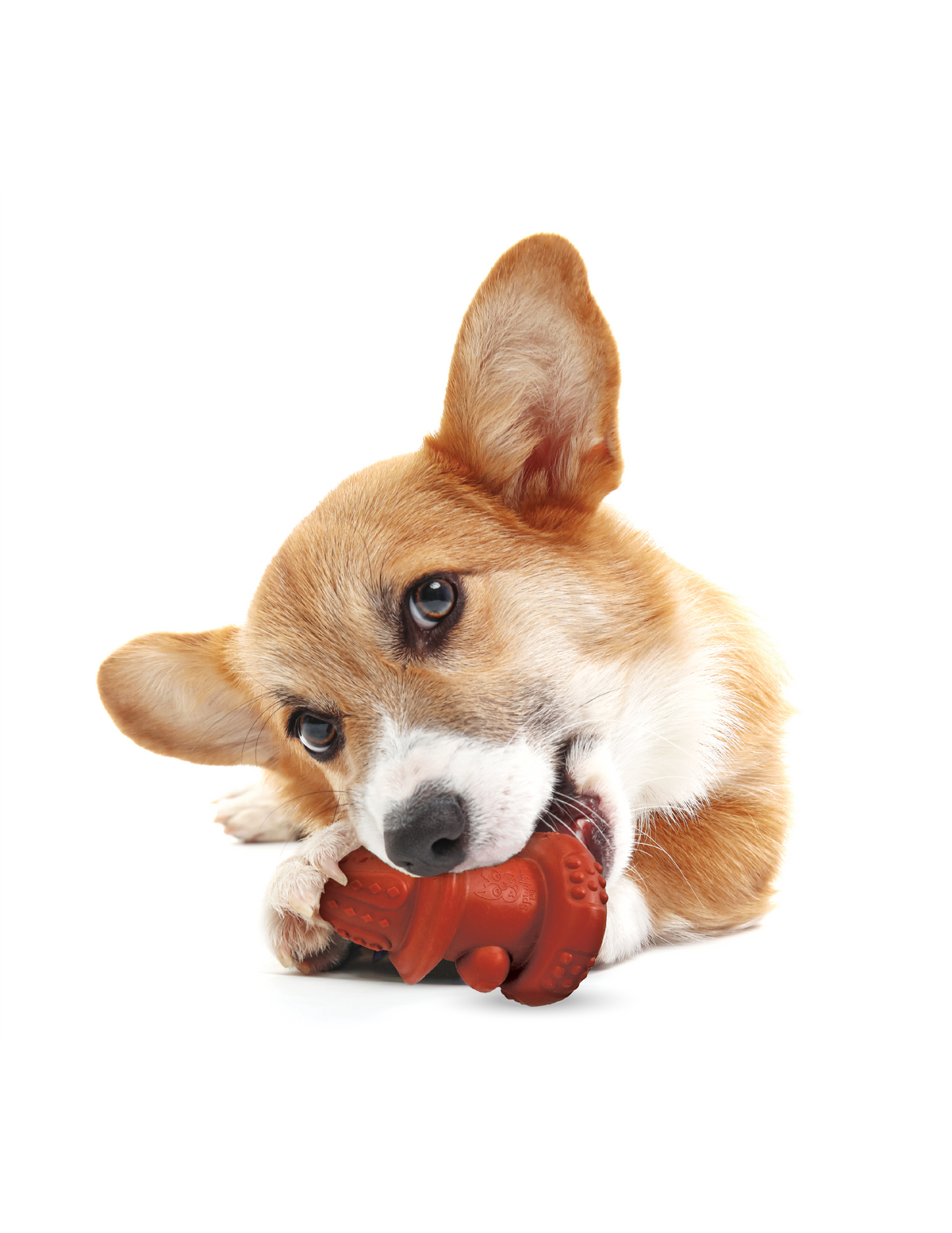 Spunky Pup The Hydrant – Case Pack