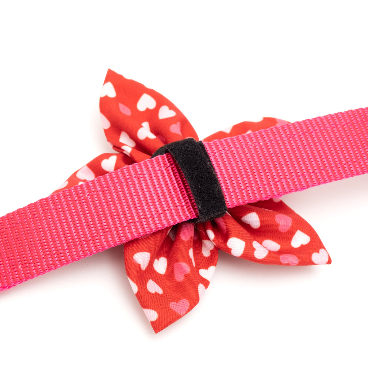 Cupid Dog Flower – Polyester, Red, Sizes S, L