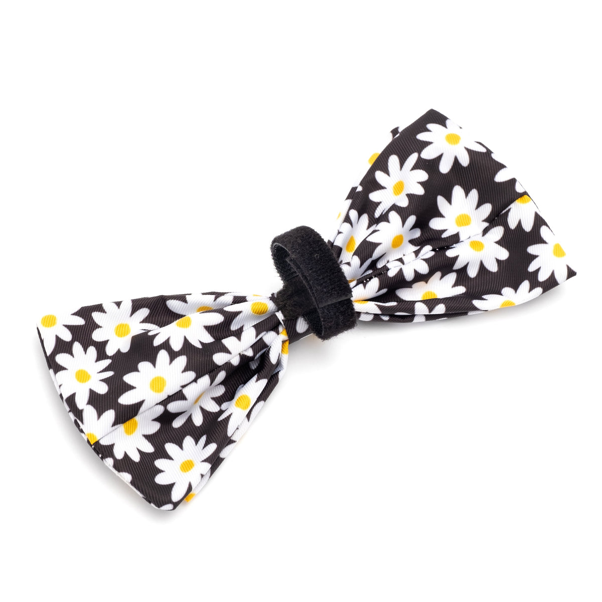 Lazy Daisy Dog Bow Tie – Polyester, Black, Sizes S, L