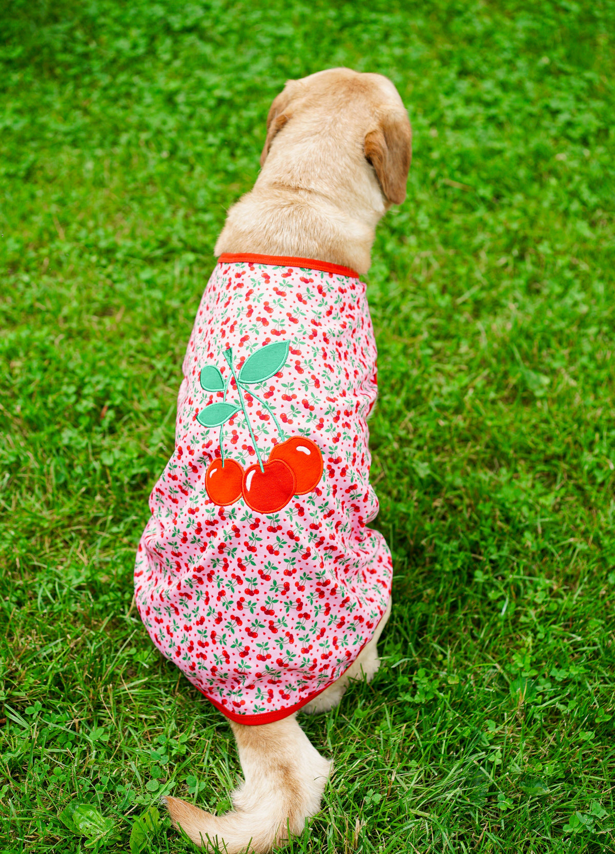Cherries Jubilee Dog Tank Top – Polyester, Pink, Sizes XS–XXL