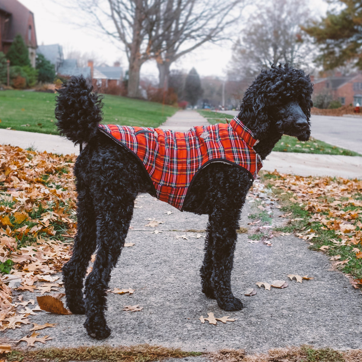 Red Tartan Dog Jacket, red, product view 3