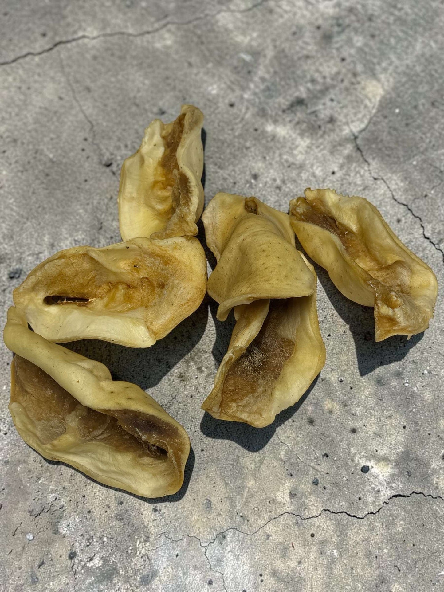 Beef Chins Natural Dog Treat – No Additives Product of Turkey