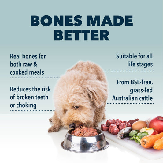 Better Bones - Dog Health - Image 2