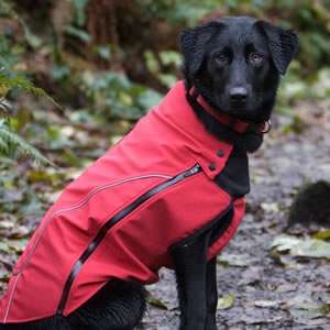 CE Pioneer Soft Shell - Dog Clothing