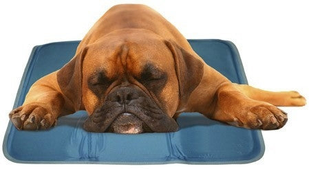 Cool Pet Pad - COOLPAD - Dog Heating Cooling