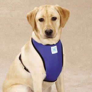 Cool Pup Harness - Dog Heating Cooling