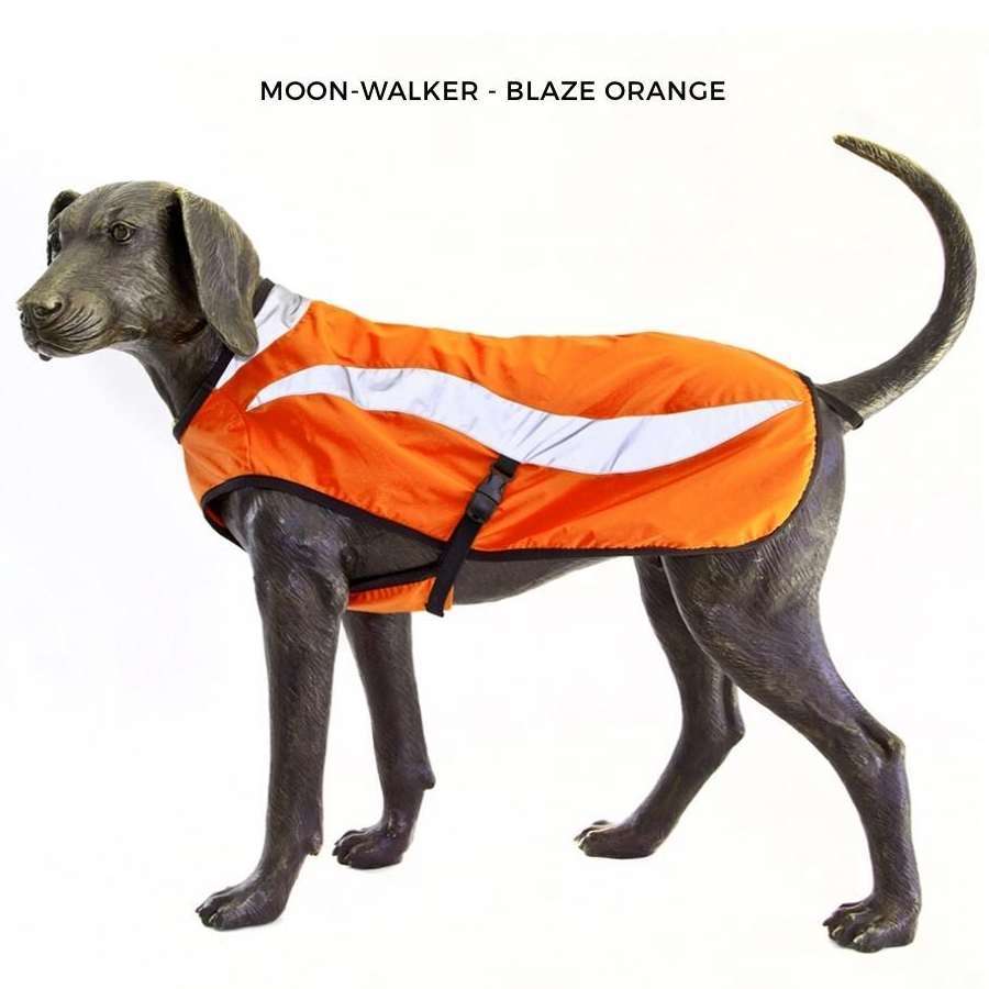 D-FA Moon-Walker Safety Jacket - Dog Safety