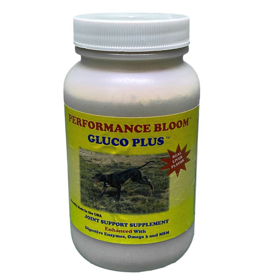 Dog Bloom Gluco Plus 5oz - Dog Health