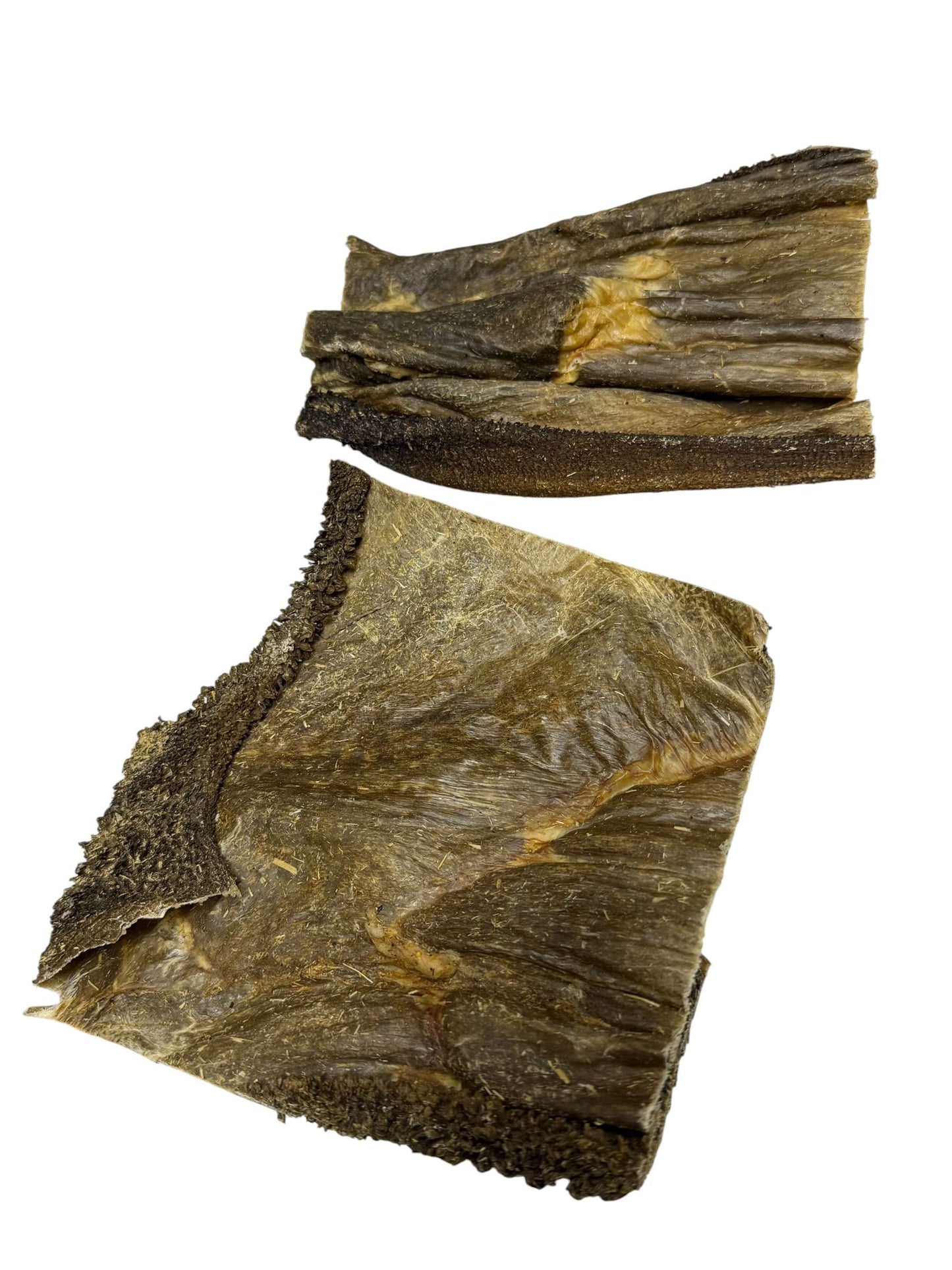 Green Beef Tripe Plates Dog Treat – Natural Gut Health Support
