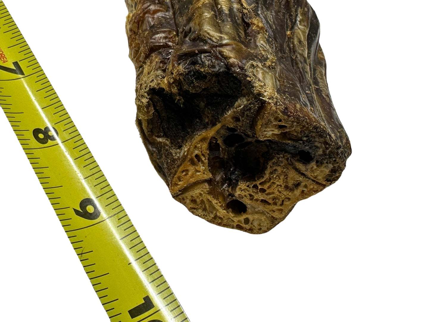 Dog Treat - Ostrich Neck Chew - Monster Size