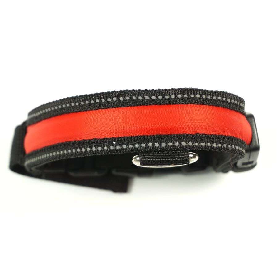 Polybrite Lighted Collars - Dog Safety