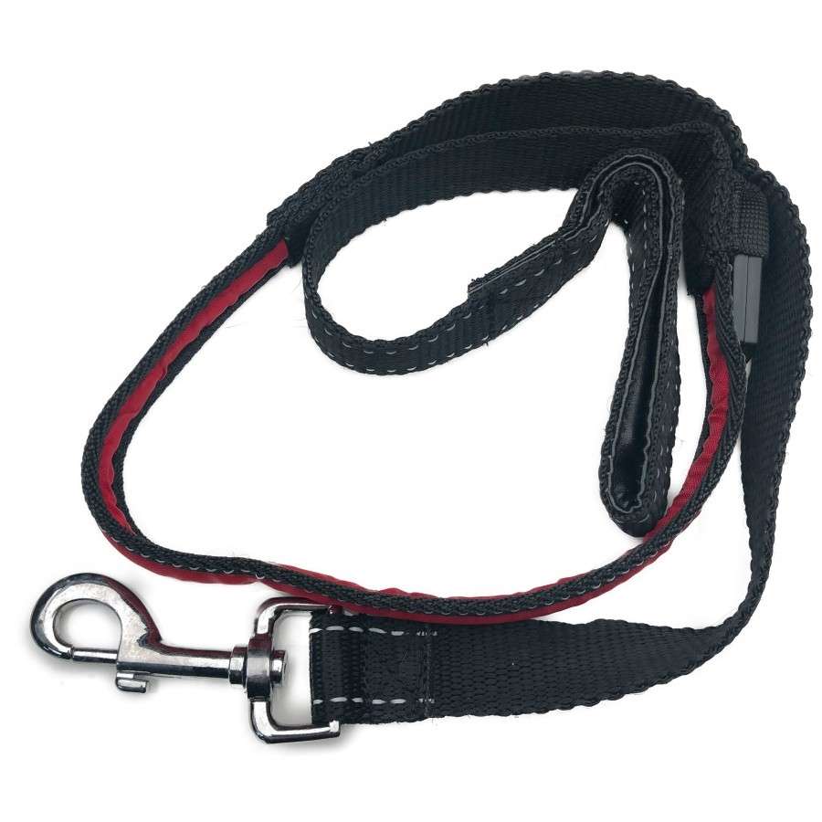 Polybrite Lighted Leash - Dog Safety