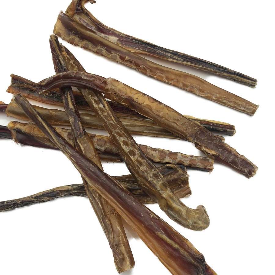Dog Treat - Pork Pizzle Flossers 10 Pack