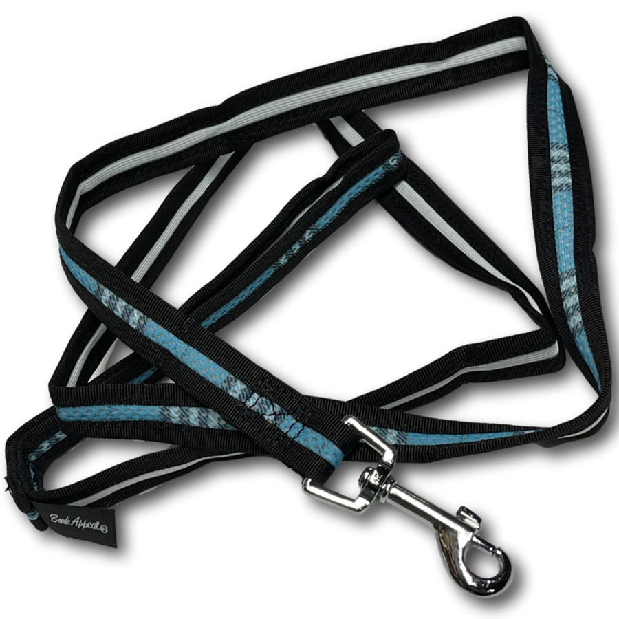 Leash 6' Blue Reflective - Dog Safety