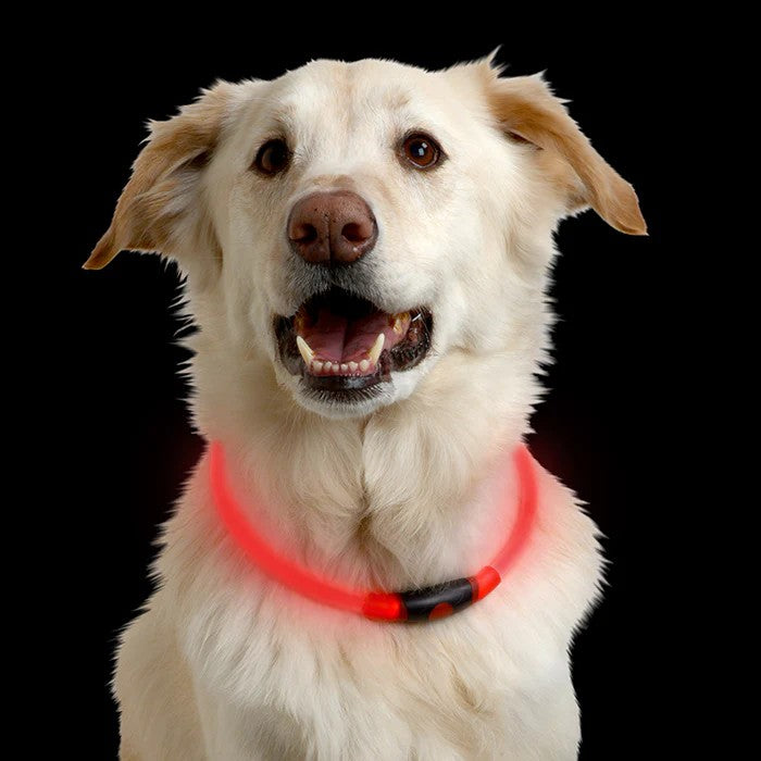 Nite Ize NiteHowl Safety Necklace - Dog Safety