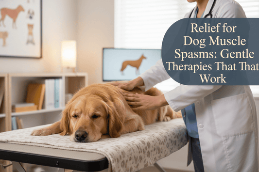 Dog Muscle Spasms Treatment: Causes, Symptoms & Vet Tips (2026)