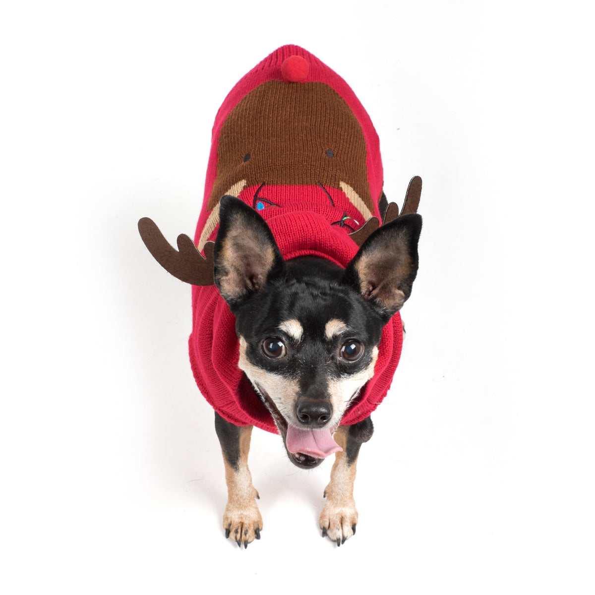 Rudy Reindeer Hoodie Dog Sweater – Acrylic, Red, Sizes XXS–XXL