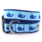 Squirt Dog Collar – Blue, Sizes XS–XL