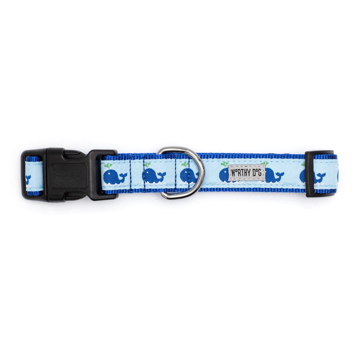 Squirt Dog Collar – Blue, Sizes XS–XL