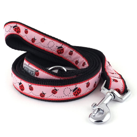Red ladybugs with dotted trails on pink ribbon nylon dog leash, coiled