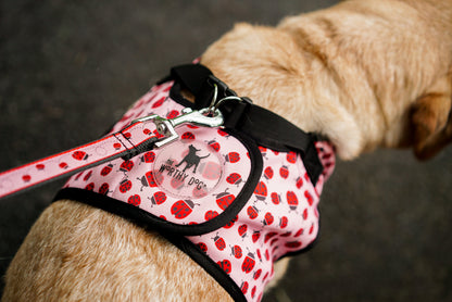Red ladybugs with dotted trails on pink ribbon nylon dog leash, shown attached to a harness; harness not included