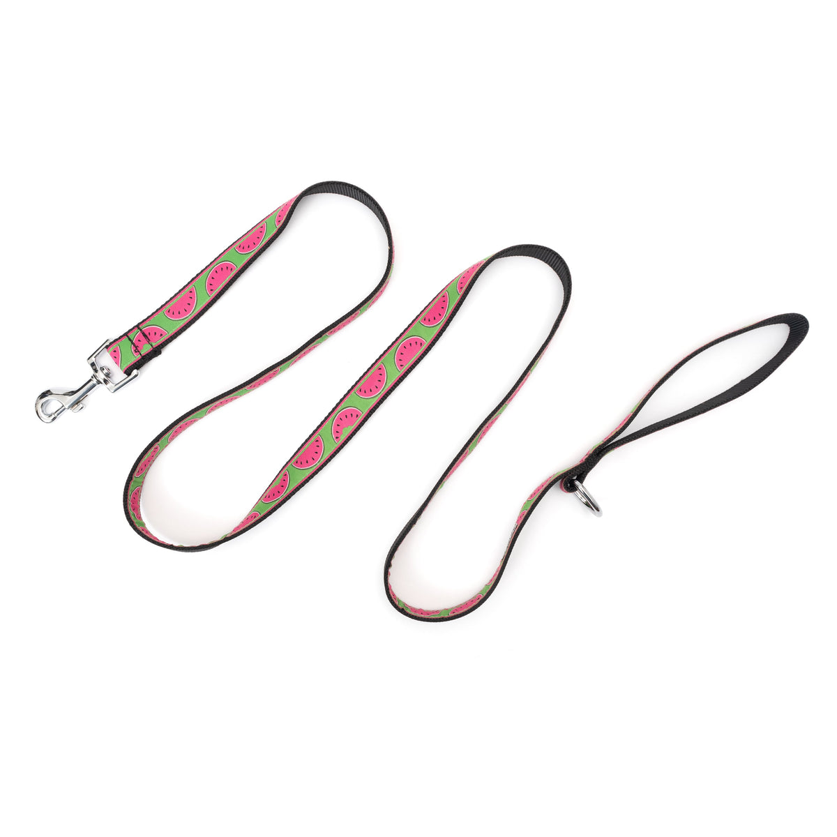 Green Watermelon Nylon Dog Leash — extended leash