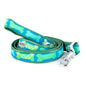 Repeating bone shapes on patterned ribbon nylon dog leash, Blue colorway coiled