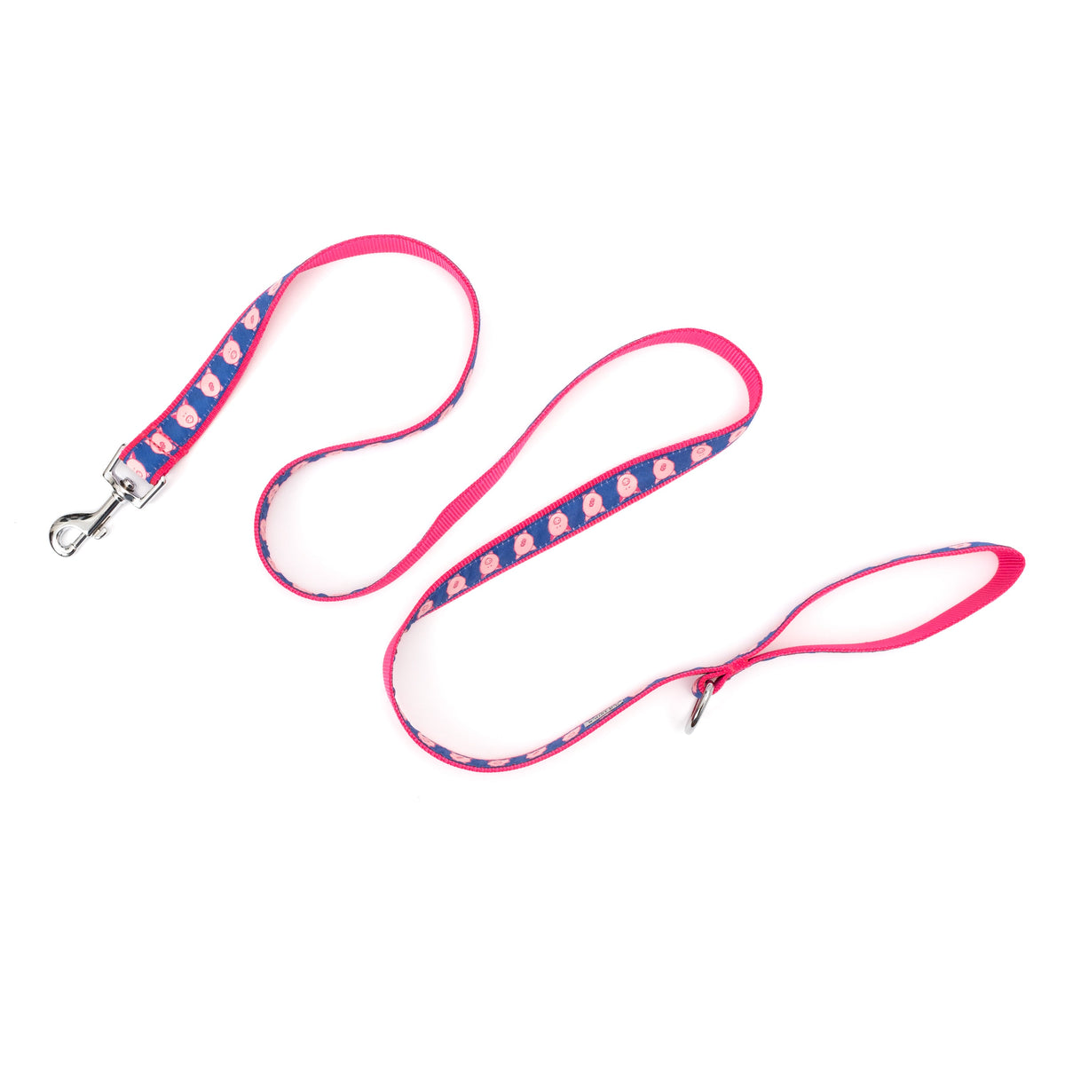 Blue Wilbur Pig Nylon Dog Leash — extended leash