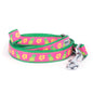 Yellow pineapples and flowers on pink ribbon nylon dog leash, coiled with green backing