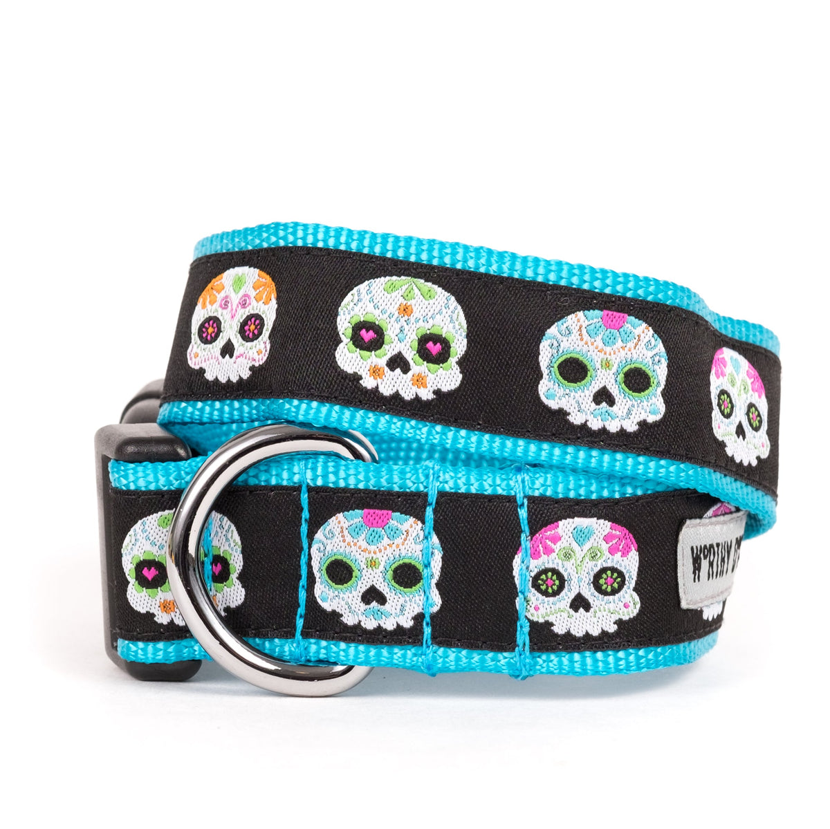 Decorated sugar-skull illustrations Halloween dog collar, Black colorway front view