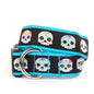 Decorated sugar-skull illustrations Halloween dog collar, Black colorway front view