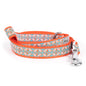 Repeating decorative stamp-style motifs nylon dog leash, coiled