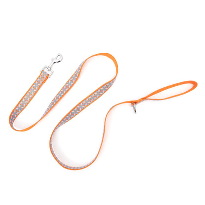 Repeating decorative stamp-style motifs nylon dog leash, extended