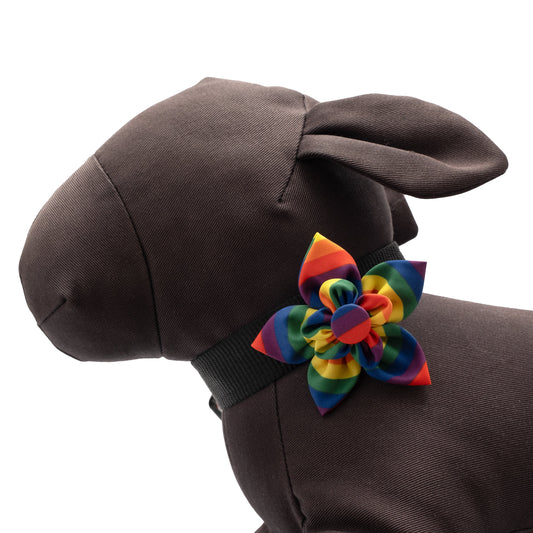 Rainbow Dog Flower – Polyester, Multicolored, Sizes S, L