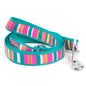 Multicolored stripes across teal ribbon nylon dog leash, coiled