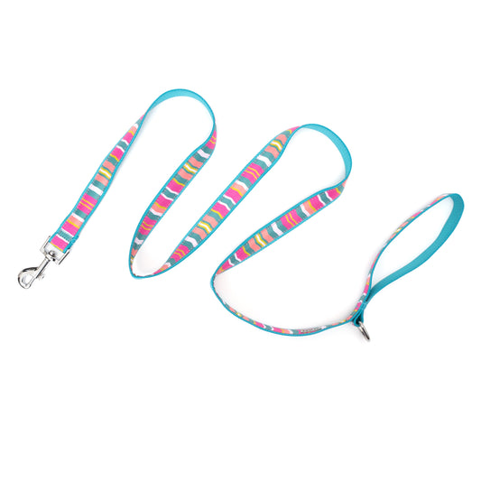 Multicolored stripes across teal ribbon nylon dog leash, extended