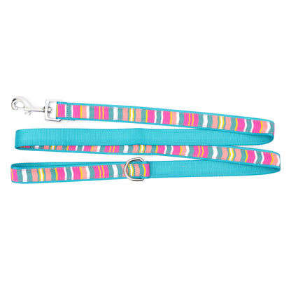 Multicolored stripes across teal ribbon nylon dog leash, ribbon and backing detail
