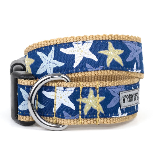 Starfish Dog Collar – Blue, Sizes XS–XL