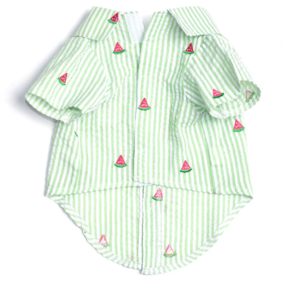 Green Stripe Watermelon Dog Shirt – Cotton, Green/White, Sizes XS–XXL