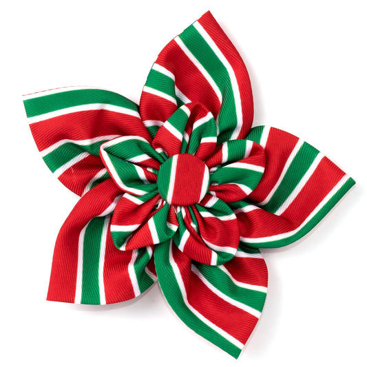 Holiday Stripe Dog Flower – Polyester, Red/Green, Sizes S, L