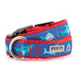 Blue Shark Nylon Dog Collar in blue, main product view