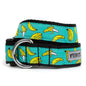 Go Bananas Dog Collar – Teal, Sizes XS–XL