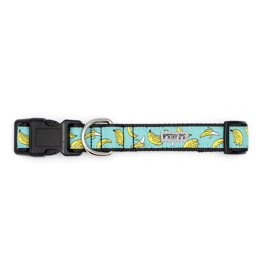 Go Bananas Dog Collar – Teal, Sizes XS–XL