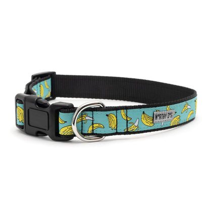 Go Bananas Dog Collar – Teal, Sizes XS–XL