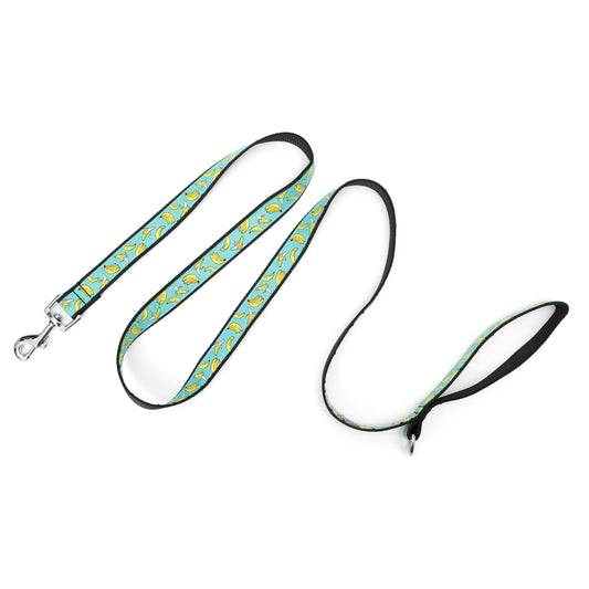 Banana illustrations on teal ribbon nylon dog leash, extended
