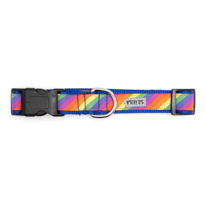 Rainbow Nylon Dog Collar in multicolored, product view 2