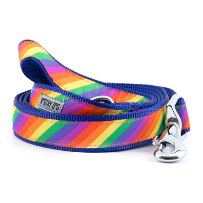 Diagonal multicolored rainbow stripes nylon dog leash, coiled