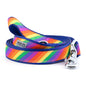 Diagonal multicolored rainbow stripes nylon dog leash, coiled