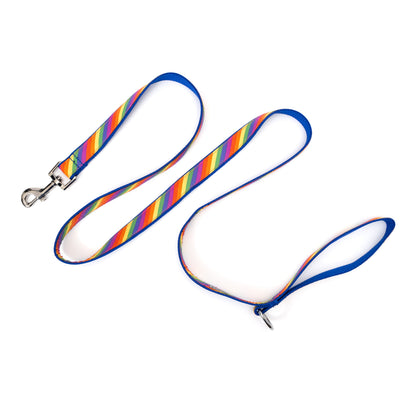 Diagonal multicolored rainbow stripes nylon dog leash, extended